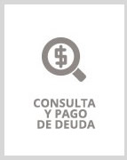 Consulta, emision y pago de deuda. Pago automotor, inmobiliario, multas policia caminera